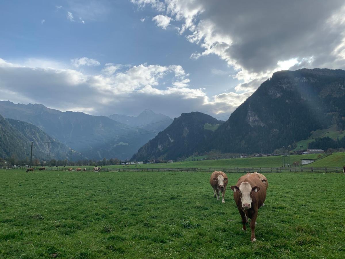 Alpen-Apart Schwendau Eksteriør bilde